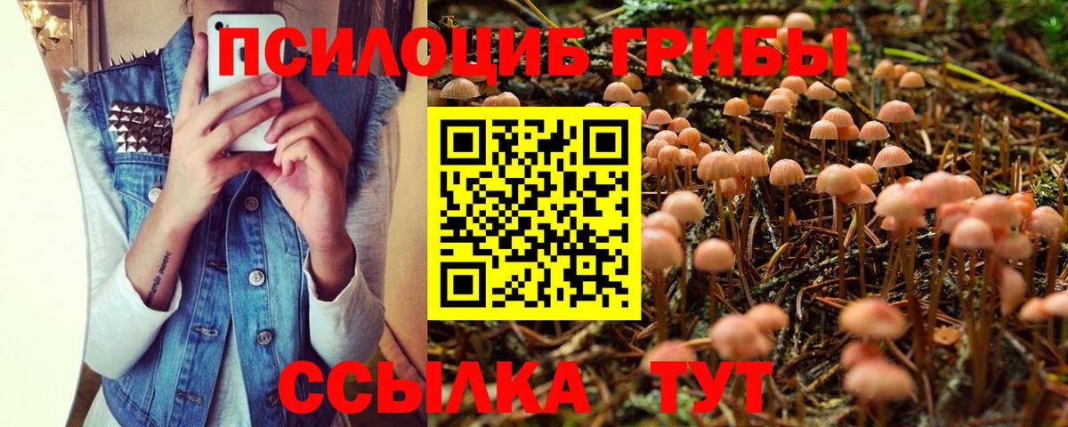 Киселёвск  Псилоцибиновые грибы ЛСД  Вход с VPN  Псилоцибиновые грибы Magic Shrooms 