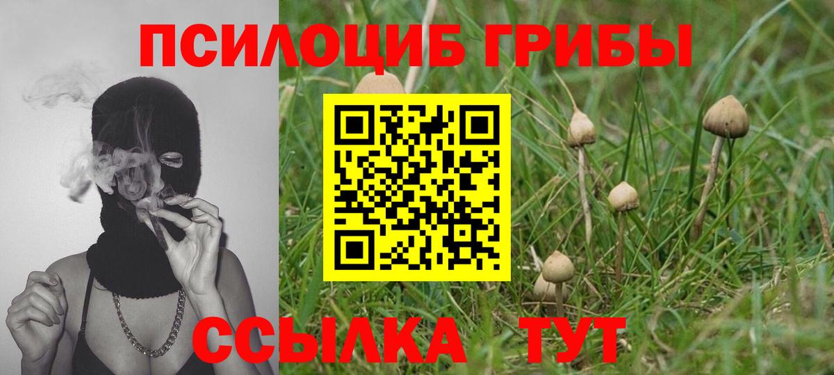 Галлюциногенные грибы мухоморы Киселёвск